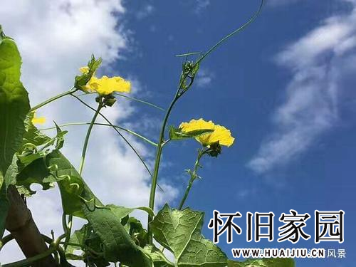 怀旧不是一种病，而是一种情怀