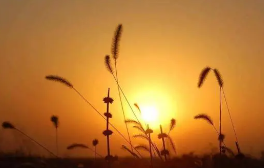 怀旧不是一种病，而是一种情怀