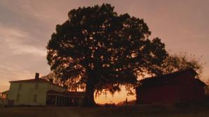 1999年绿里奇迹-国英双语中字迅雷下载、百度网盘下载