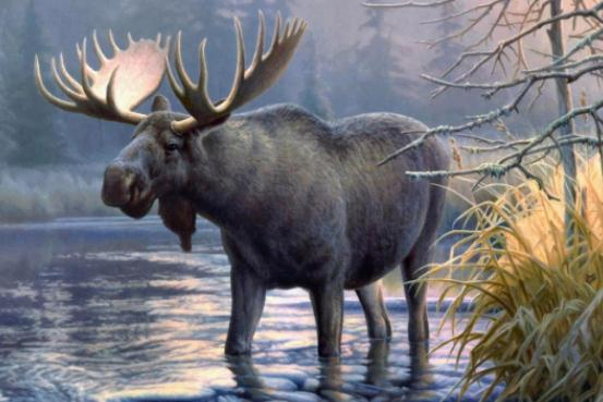 封神榜姜子牙的坐骑四不像是哪四个不像，都是什么动物