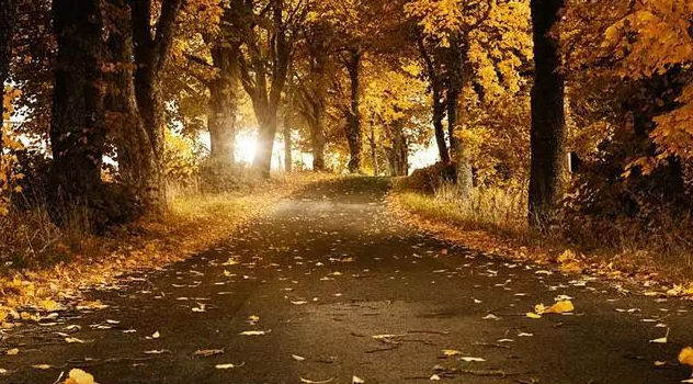 尴尬的80后；无奈的80后；辛苦的80后；奔四的80后