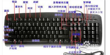 电脑上换行的快捷键是什么(电脑打字怎样换行)