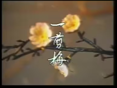 《一剪梅》1984年中视电视剧一剪梅主题曲 费玉清 电视原版