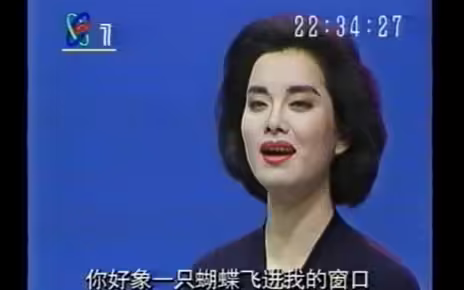 【央视版本】1993年毛阿敏《思念》优雅如初