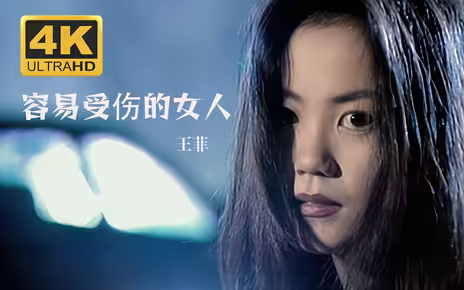 容易受伤的女人 - 王菲